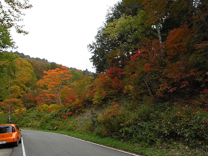 みなかみ町紅葉情報２００８ 照葉峡紅葉始まる 群馬県みなかみ町 湯の小屋温泉 貸切露天風呂の宿 清流の宿 たむら 周辺観光情報